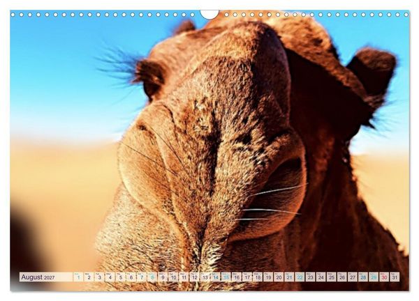 Produktbild: Marocco&rsquo;s Silent Desert (Wall Calendar 2027 DIN A3 landscape), CALVENDO 12 Month Wall Calendar