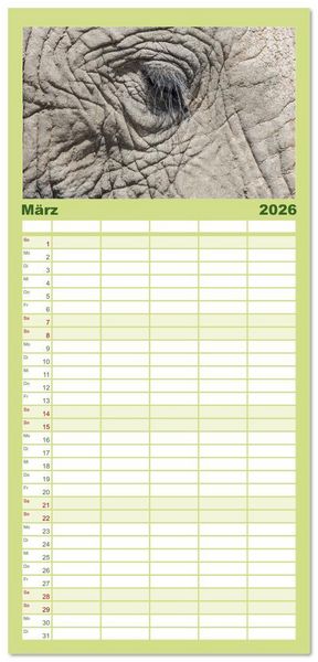 Produktbild: Familienplaner 2026 - Elefanten Begegnungen im &ouml;stlichen und s&uuml;dlichen Afrika mit 5 Spalten (Wandkalender, 21 x 45 cm) CALVENDO