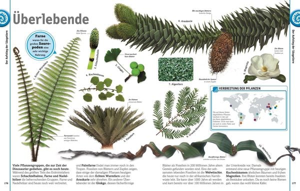 Produktbild: Unsere Welt in 1000 Bildern. Dinosaurier