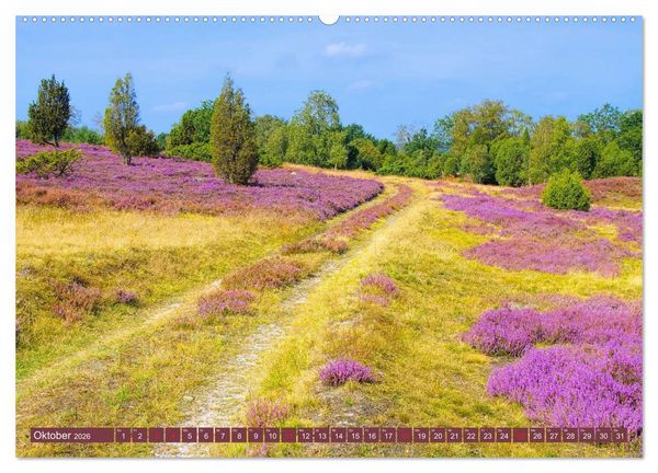 Produktbild: L&uuml;neburger Heide - Wanderung rund um Wilsede und Totengrund (hochwertiger Premium Wandkalender 2026 DIN A2 quer), Kunstdruck in Hochglanz