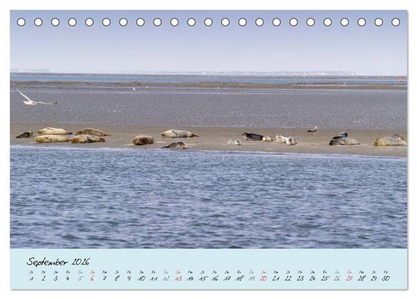 Produktbild: Nordsee &ndash; D&uuml;nen, Sand, Wasser und Wolken (Tischkalender 2026 DIN A5 quer), CALVENDO Monatskalender