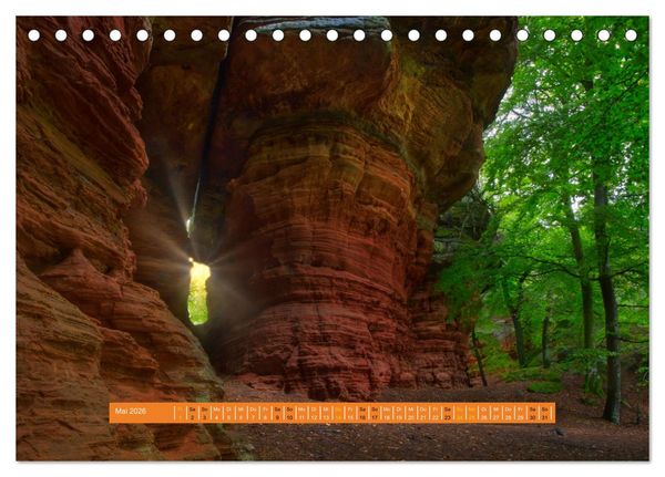 Produktbild: Magischer Pf&auml;lzer Wald (Tischkalender 2026 DIN A5 quer), CALVENDO Monatskalender