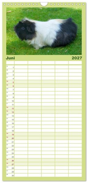 Produktbild: Familienplaner 2027 - Kuschelige Meerschweinchen mit 5 Spalten (Wandkalender, 21 x 45 cm) CALVENDO