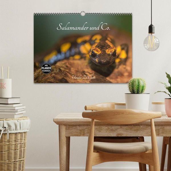 Produktbild: Salamander und Co. (Wandkalender 2026 DIN A3 quer), CALVENDO Monatskalender