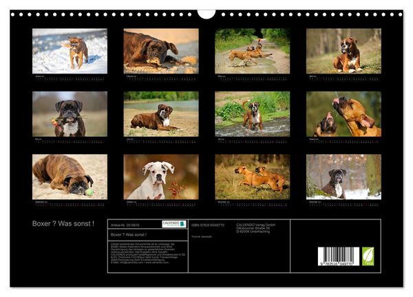 Produktbild: Boxer ? Was sonst ! (Wandkalender 2026 DIN A3 quer), CALVENDO Monatskalender