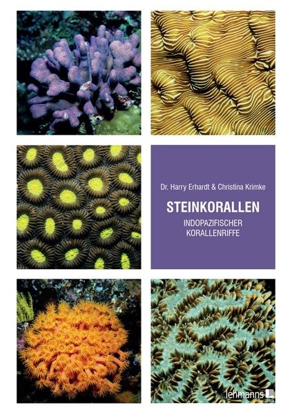 Produktbild: Steinkorallen indopazifischer Korallenriffe