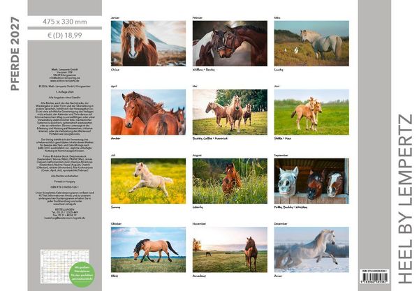 Produktbild: Pferde Kalender 2027 Wandkalender