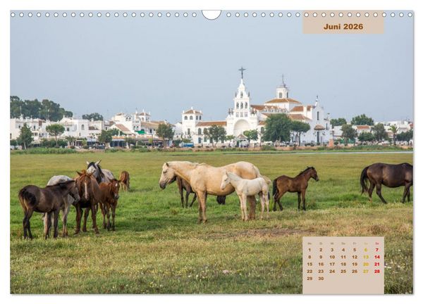Produktbild: Pferde - Andalusiens wilder Westen (Wandkalender 2026 DIN A3 quer), CALVENDO Monatskalender