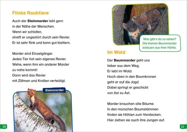 Produktbild: WAS IST WAS Erstes Lesen easy! Band 17. Tiere in der Nacht