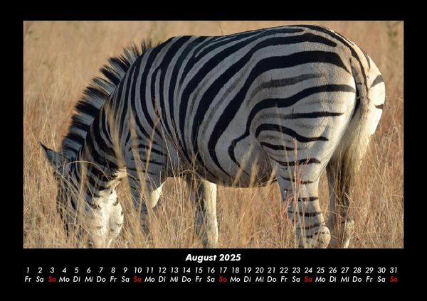 Produktbild: Zebrazauber 2025 Fotokalender DIN A3