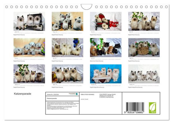 Produktbild: Katzenparade (Wandkalender 2026 DIN A4 quer), CALVENDO Monatskalender