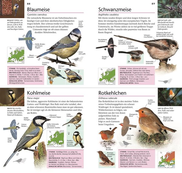 Produktbild: Gartenv&ouml;gel beobachten und bestimmen