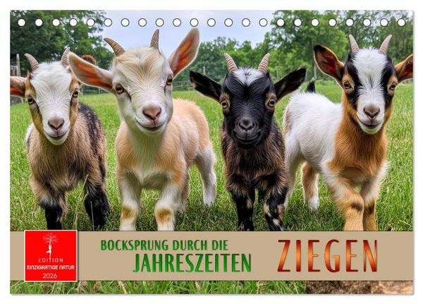 Ziegen - Bocksprung durch das Jahr (Tischkalender 2026 DIN A5 quer), CALVENDO Monatskalender