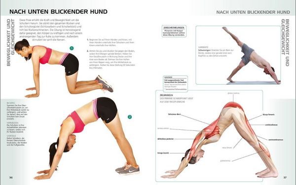Produktbild: Die Anatomie des ger&auml;telosen Workouts
