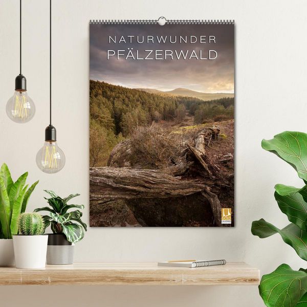 Produktbild: NATURWUNDER PF&Auml;LZERWALD (Wandkalender 2026 DIN A2 hoch), CALVENDO Monatskalender