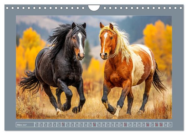 Produktbild: Mustangs. Pferde in ihrer wildesten Sch&ouml;nheit (Wandkalender 2027 DIN A4 quer), CALVENDO Monatskalender
