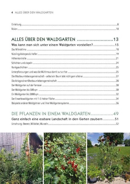 Produktbild: Dein Weg zum essbaren Waldgarten