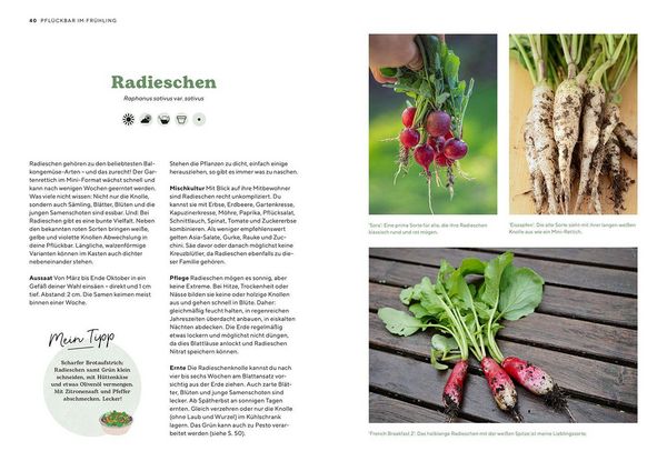 Produktbild: Pfl&uuml;ckbar