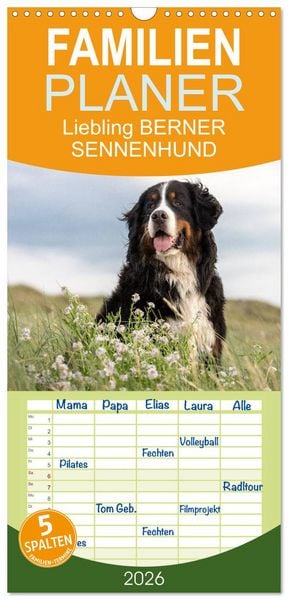 Familienplaner 2026 - Liebling BERNER SENNENHUND mit 5 Spalten (Wandkalender, 21 x 45 cm) CALVENDO