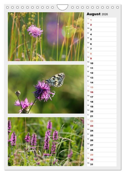 Produktbild: Zauberhafte Farben der Natur (Wandkalender 2026 DIN A4 hoch), CALVENDO Monatskalender