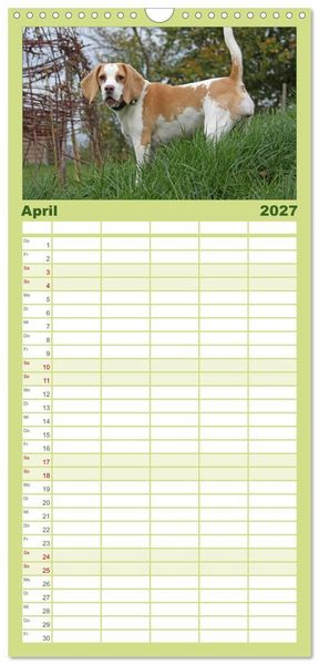 Produktbild: Familienplaner 2027 - DER BEAGLEige TERMINPLANER mit 5 Spalten (Wandkalender, 21 x 45 cm) CALVENDO