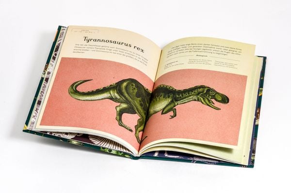 Produktbild: Die Entstehung des Lebens. Evolution