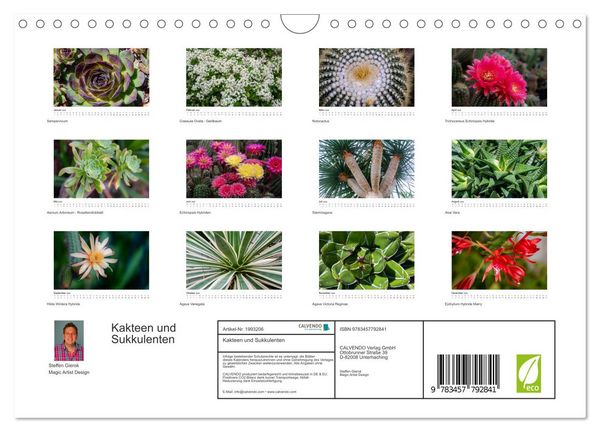 Produktbild: Kakteen und Sukkulenten (Wandkalender 2026 DIN A4 quer), CALVENDO Monatskalender