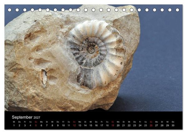 Produktbild: Fossilien - Zeugen der Urzeit (Tischkalender 2027 DIN A5 quer), CALVENDO Monatskalender