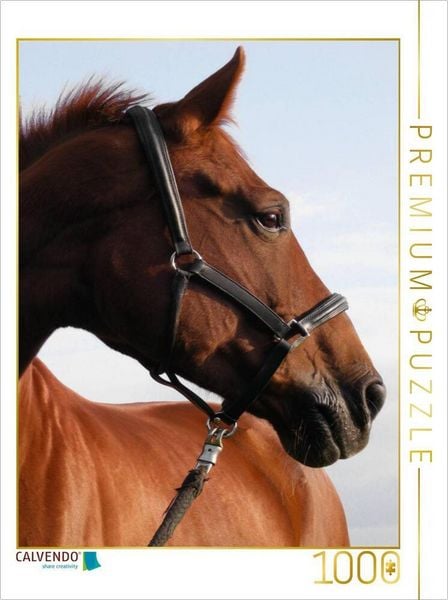 CALVENDO Puzzle Springpferd | 1000 Teile Lege-Größe 64x48cm Foto-Puzzle für glückliche Stunden