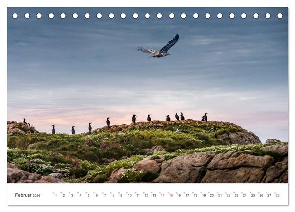 Produktbild: Nordland &ndash; Die Weite Skandinaviens (Tischkalender 2026 DIN A5 quer), CALVENDO Monatskalender