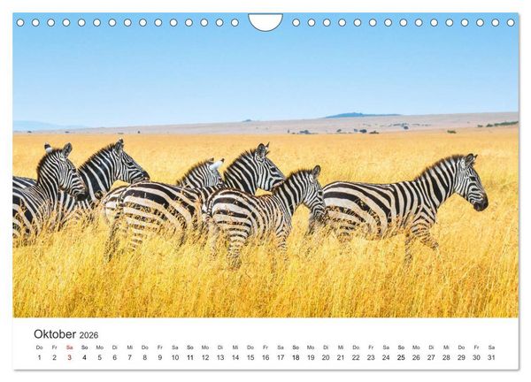 Produktbild: Safari durch Afrika (Wandkalender 2026 DIN A4 quer), CALVENDO Monatskalender