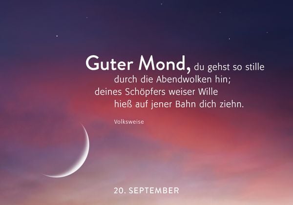 Produktbild: 365 Lichtmomente