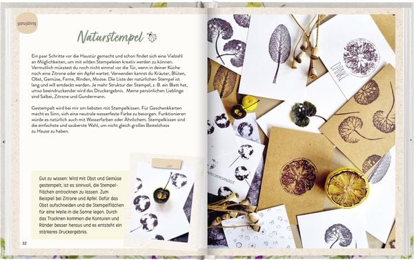 Produktbild: Geschenke wachsen vor der Tür