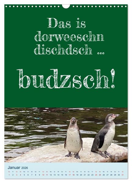 Produktbild: Ni schw&auml;bborn! Mundart und Dialekt Kalender Sachsen (Wandkalender 2026 DIN A3 hoch), CALVENDO Monatskalender