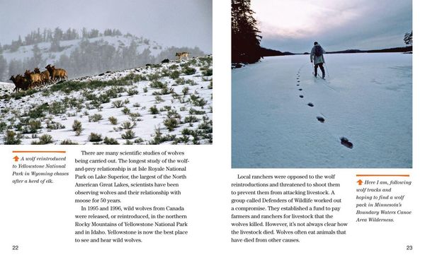 Produktbild: Face to Face with Wolves
