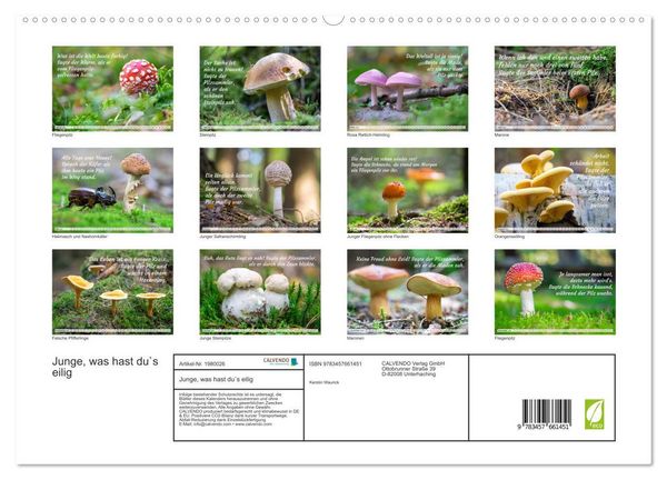 Produktbild: Junge, was hast du`s eilig (hochwertiger Premium Wandkalender 2026 DIN A2 quer), Kunstdruck in Hochglanz