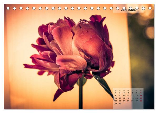 Produktbild: Bl&uuml;ten im Retro-Style (Tischkalender 2026 DIN A5 quer), CALVENDO Monatskalender