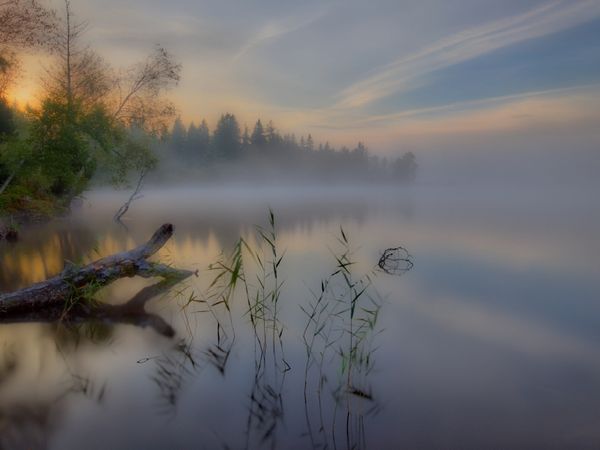 Produktbild: CALVENDO Puzzle Nebliger Morgen am Kirchsee 1000 Teile Puzzle quer | 1000 Teile Lege-Gr&ouml;&szlig;e 64 &times; 48 cm Foto-Puzzle f&uuml;r gl&uuml;ckliche Stunden