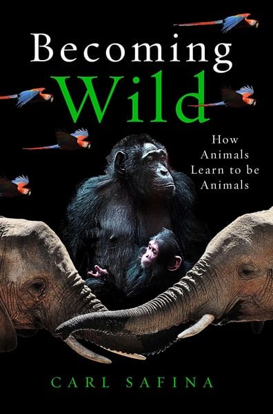 Produktbild: Becoming Wild