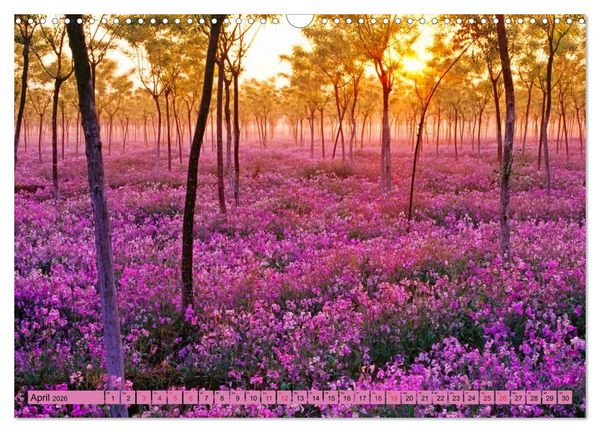 Produktbild: Lila - die mystische Farbe (Wandkalender 2026 DIN A3 quer), CALVENDO Monatskalender