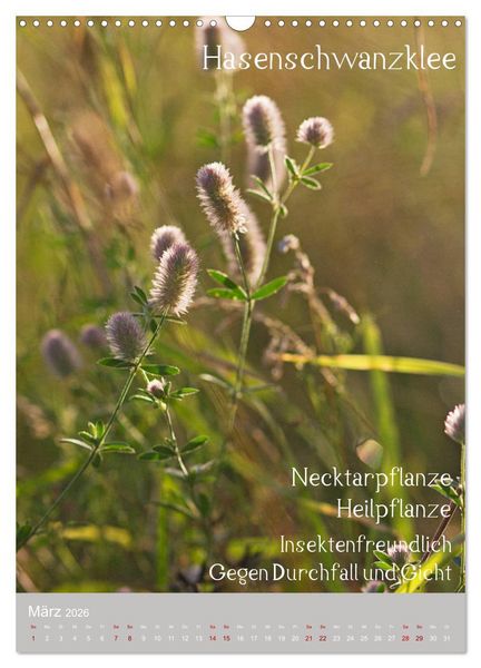 Produktbild: Unkr&auml;uter - N&uuml;tzliche Wildpflanzen auf der Wiese (Wandkalender 2026 DIN A3 hoch), CALVENDO Monatskalender