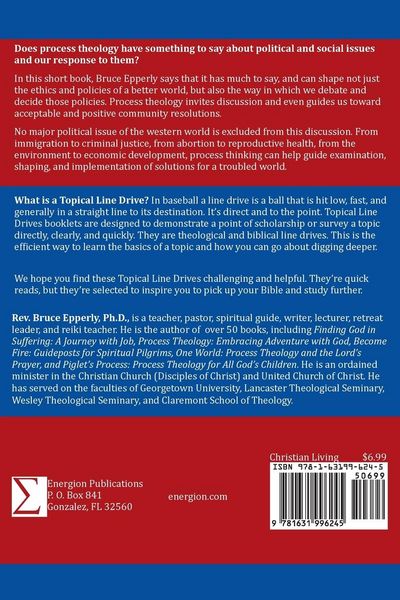 Produktbild: Process Theology and Politics