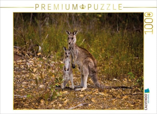 CALVENDO Puzzle Ein Motiv aus dem Kalender Freilebende Kängurus 2019 | 1000 Teile Lege-Größe 64x48cm Foto-Puzzle für glückliche Stunden