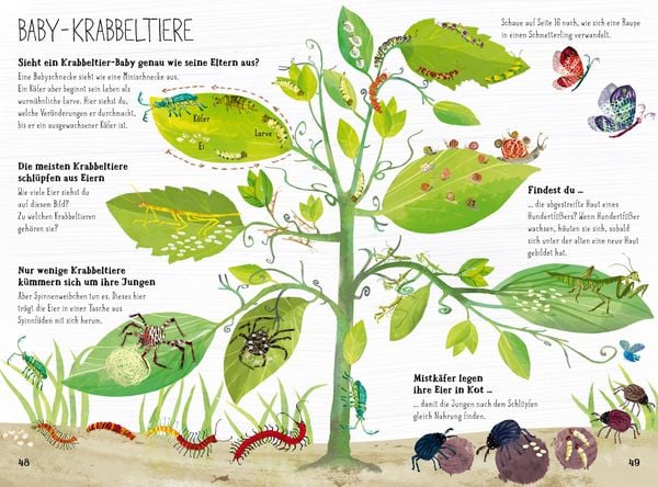 Produktbild: Das gro&szlig;e Buch der Krabbeltiere