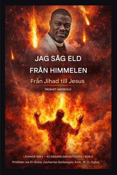 Produktbild: Jag s&aring;g eld fr&aring;n himlen