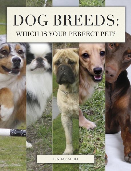 Produktbild: Dog Breeds: Which is Your Perfect Pet?