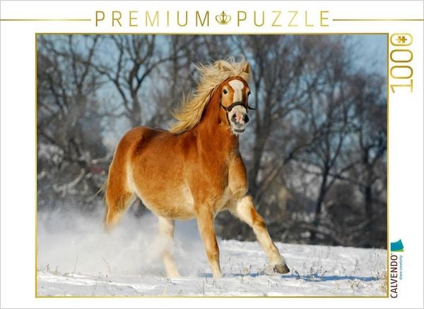 Produktbild: CALVENDO Puzzle Haflinger im Schnee | 1000 Teile Lege-Gr&ouml;&szlig;e 64x48cm Foto-Puzzle f&uuml;r gl&uuml;ckliche Stunden