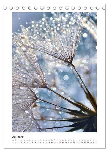 Produktbild: Die Pusteblume neu erleben (Tischkalender 2027 DIN A5 hoch), CALVENDO Monatskalender