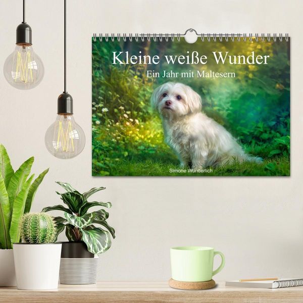 Produktbild: Kleine wei&szlig;e Wunder - ein Jahr mit Maltesern (Wandkalender 2027 DIN A4 quer), CALVENDO Monatskalender