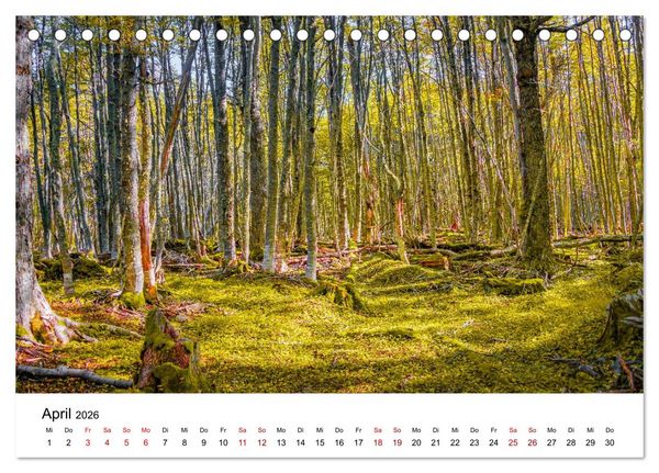 Produktbild: Patagonien, Tierra del Fuego: Am Rand der Welt (Tischkalender 2026 DIN A5 quer), CALVENDO Monatskalender